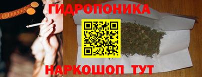 спиды Обь