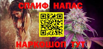 спиды Обь