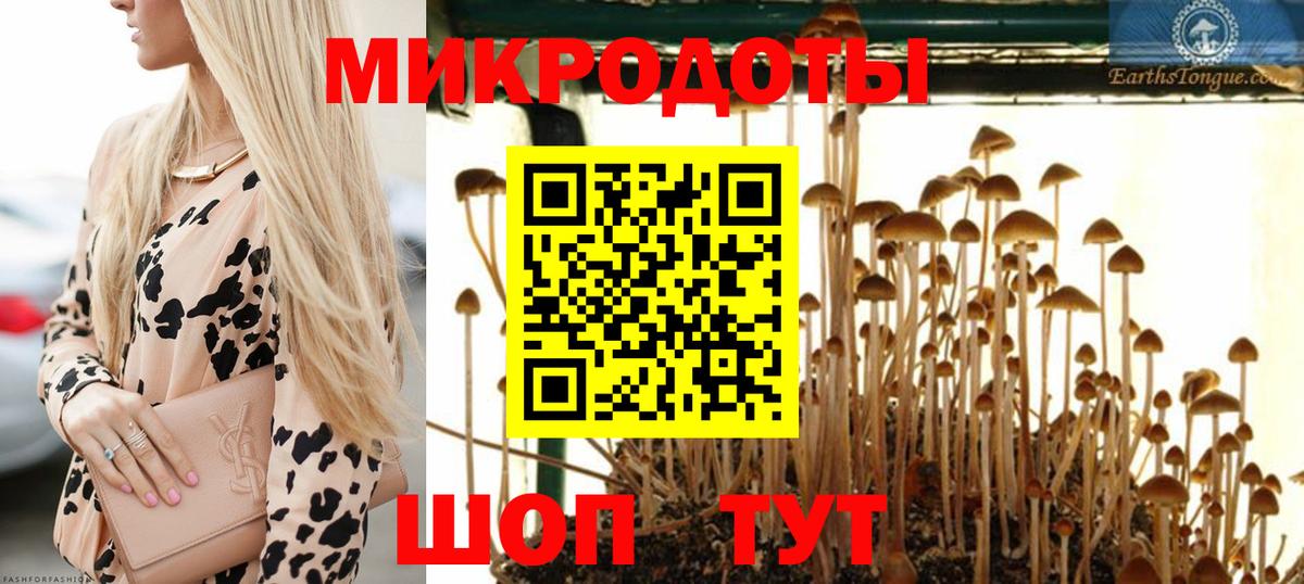 Галлюциногенные грибы мицелий  Вход с VPN  Тавда 